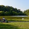 A Lake In Queens' Kissena Park Is Teeming With Dead, Rotting Fish